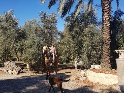 Lodge A Place To Dream