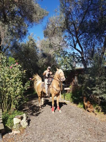 Lodge A Place To Dream