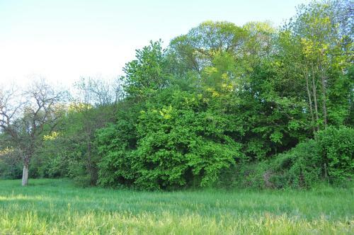 Apartamento B&B Terra Del Sole