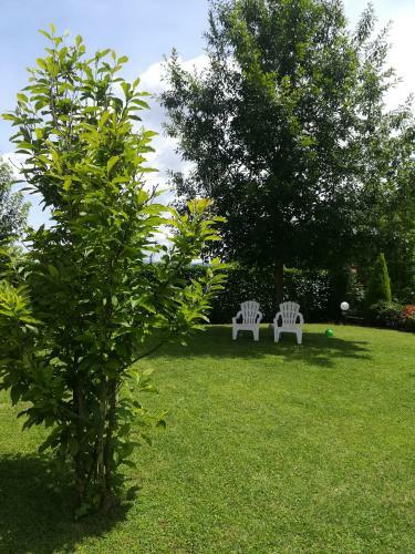 Apartamento B&B Terra Del Sole