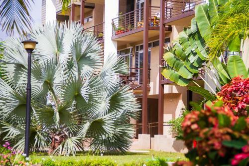 Two Bedroom Apartment In Kingston
