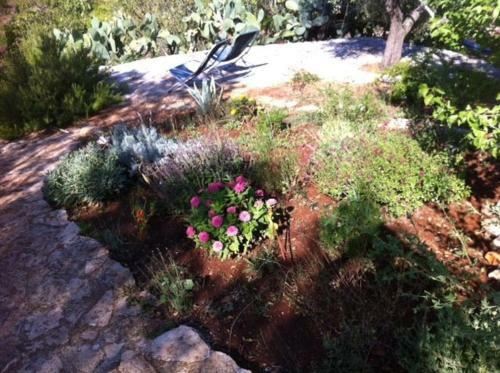 Holiday Home Casa Giuliveto
