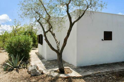Holiday Home Casa Giuliveto