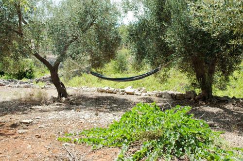 Holiday Home Casa Giuliveto