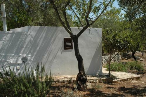 Holiday Home Casa Giuliveto