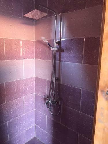 Wadi Rum Quiet Village