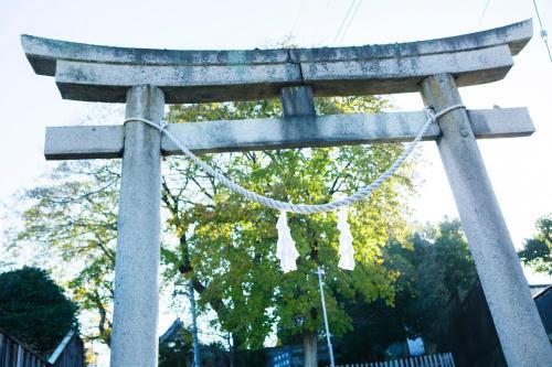 Apartamentos Guesthouse Life Field