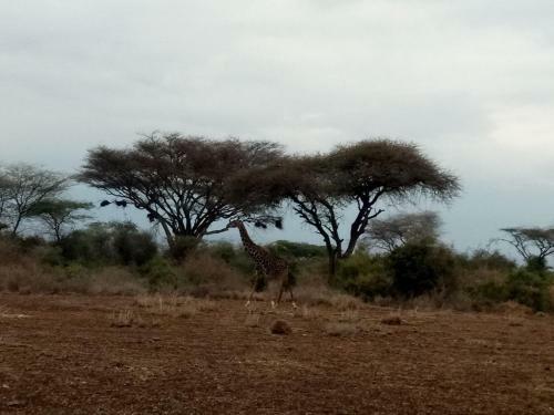Lodge We4kenya Guesthouses