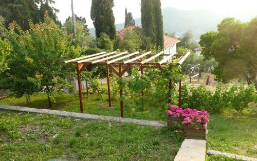 I 99 Olivi