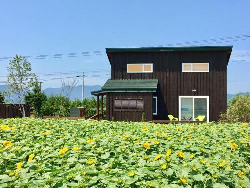Agroturismo Country Cottage Wakiaiai