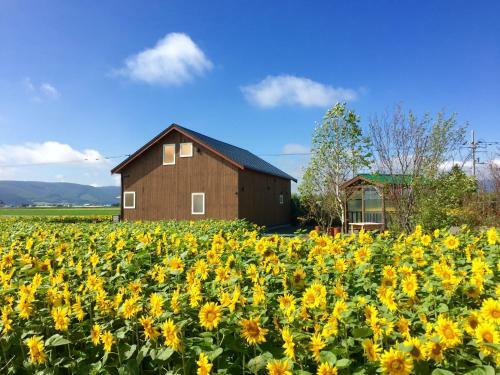 Agroturismo Country Cottage Wakiaiai