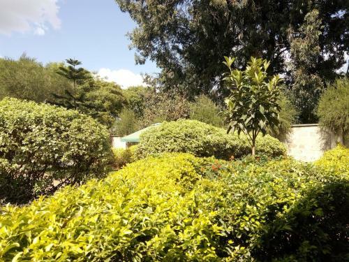 Hostal Covenant Guest House