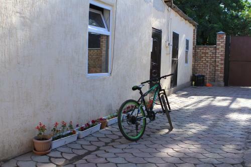 Holiday Hostel House