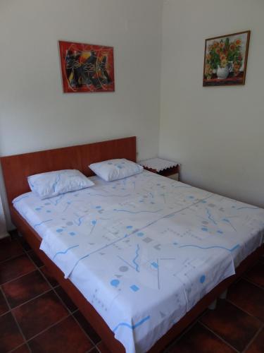 Hostal Kn Studio