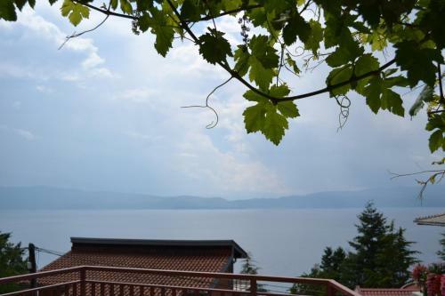 Hostal Villa Fania