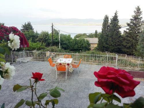 Villa Vila Mitko