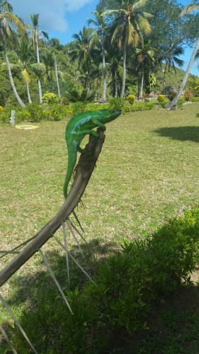 Hotel Oc�an Beach Sakatia