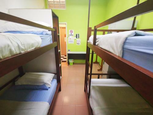 Albergue Masada Backpacker