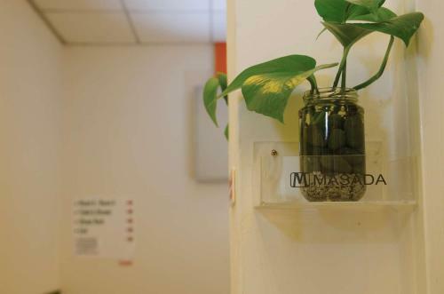 Albergue Masada Backpacker