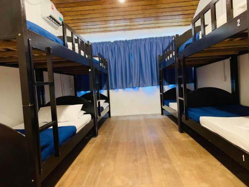Hostal Cookoobird Home