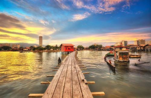 Hostal Cookoobird Home