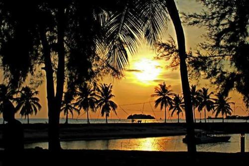 Apartamentos Seaview Homestay Pd