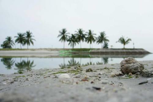 Apartamentos Seaview Homestay Pd