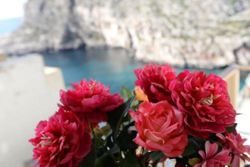 Apartamento Avalon - Bellevue Homes
