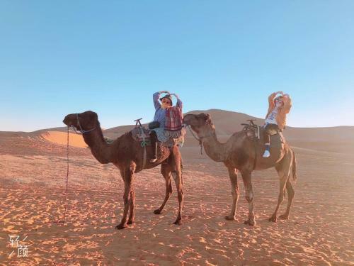 Camp Camelhouse Merzouga