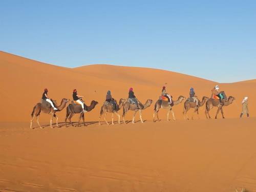 Enjoy Sahara Camp