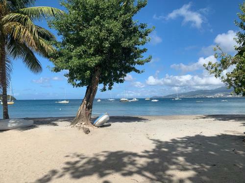 Apartamento Les Pieds Dans L'eau
