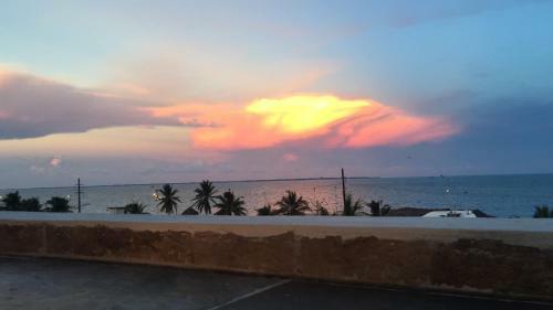 The Mermaid Hostel Beach