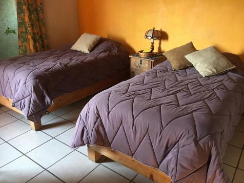 Hotel Pension Baja Paradise