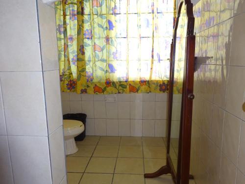 Cozy Apartment In Down Town