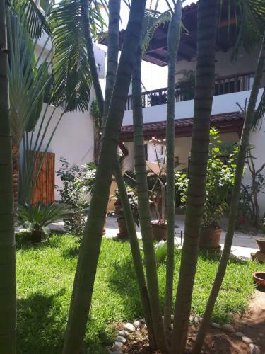 Apartamento Casa Luz De Luna