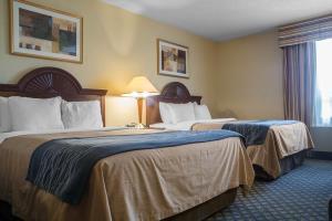 Hotel Comfort Inn & Suites