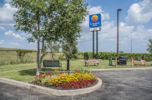 Hotel Comfort Inn  Suites