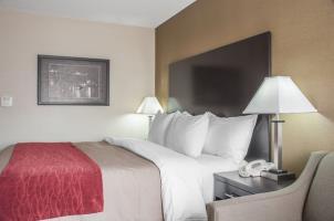 Hotel Comfort Inn  Suites