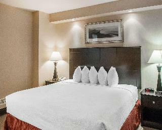 Hotel Econo Lodge Inn & Suites Downtown