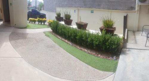 Apartamento Ecosuites
