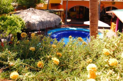 Hostal Leo's Baja Oasis
