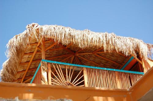 Hostal Leo's Baja Oasis