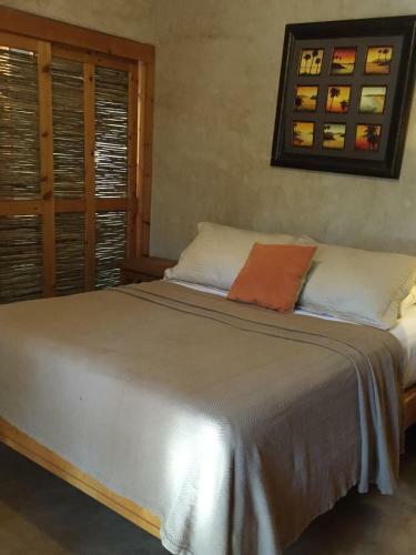 Hostal Leo's Baja Oasis