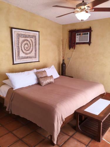 Hostal Leo's Baja Oasis