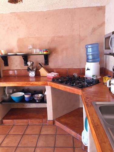 Hostal Leo's Baja Oasis