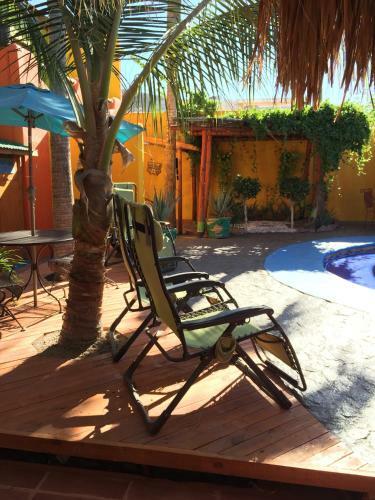 Hostal Leo's Baja Oasis