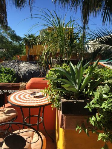 Hostal Leo's Baja Oasis