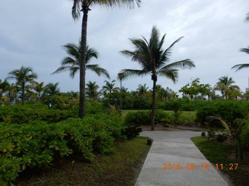 Apartamento La Isla Gran Cayman 904