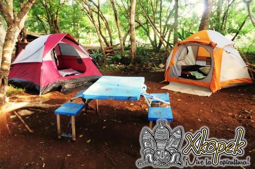 Xkopek Camping