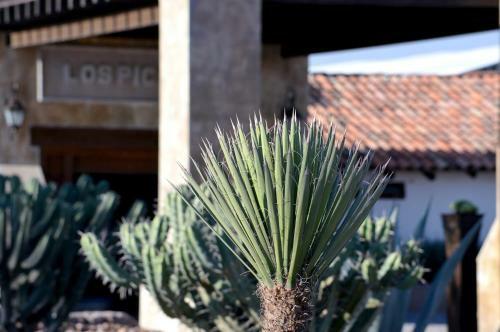 Hotel Hacienda Los Picachos